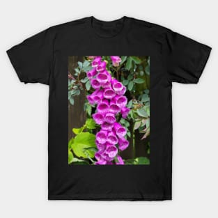 flower, bell, beautiful, love, love, pink T-Shirt